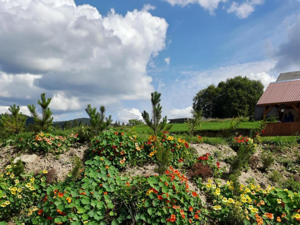 Омріяні Карпати Smozhe Exterior foto