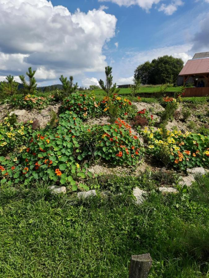 Омріяні Карпати Smozhe Exterior foto